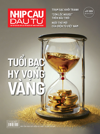 Nhịp Cầu Đầu Tư